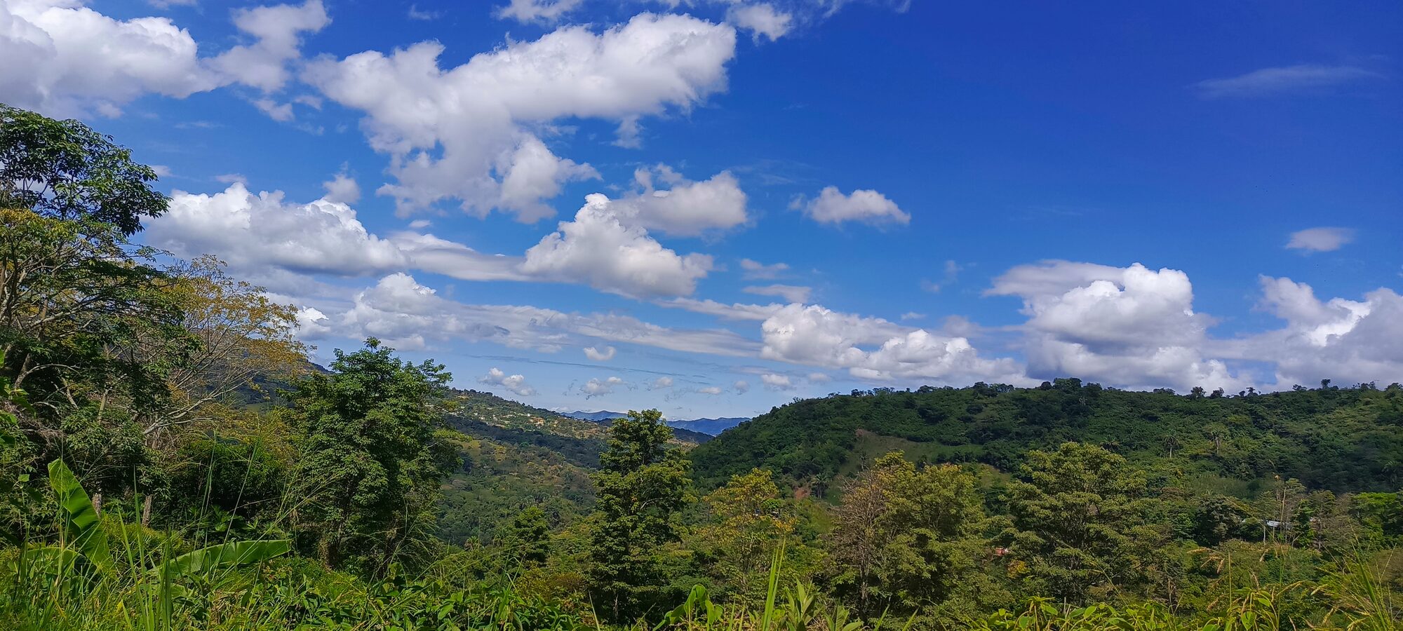 Vista panorámica de las montañas y cultivos de nuestra finca en La Mesa, Cundinamarca