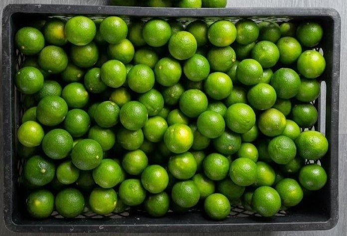 Limon Mandarino